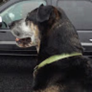 Meet your Posher, Todd